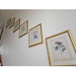 A Set Of Six Framed Rose Engraving Prints From Redoutes Les Roses (Paris 1817-1824) Each Framed 38 X