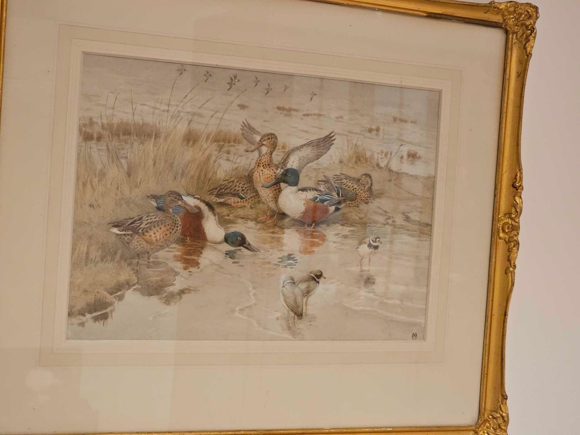 Winifred Austen RE, RI (British, 1876-1964) Ducks Watercolour Signed With Monogram 56 X 46cm - Image 2 of 3