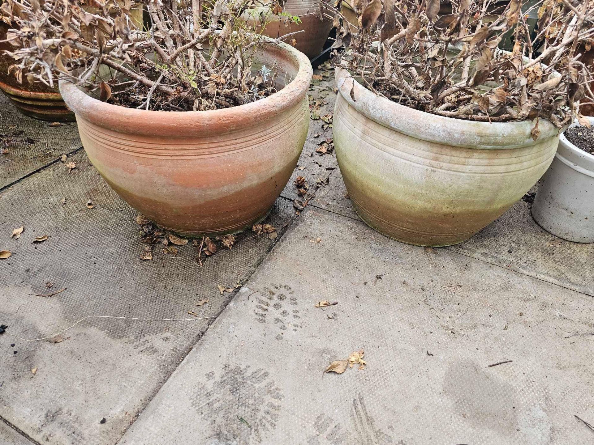 2 X Large Terracotta Planters - Image 2 of 2