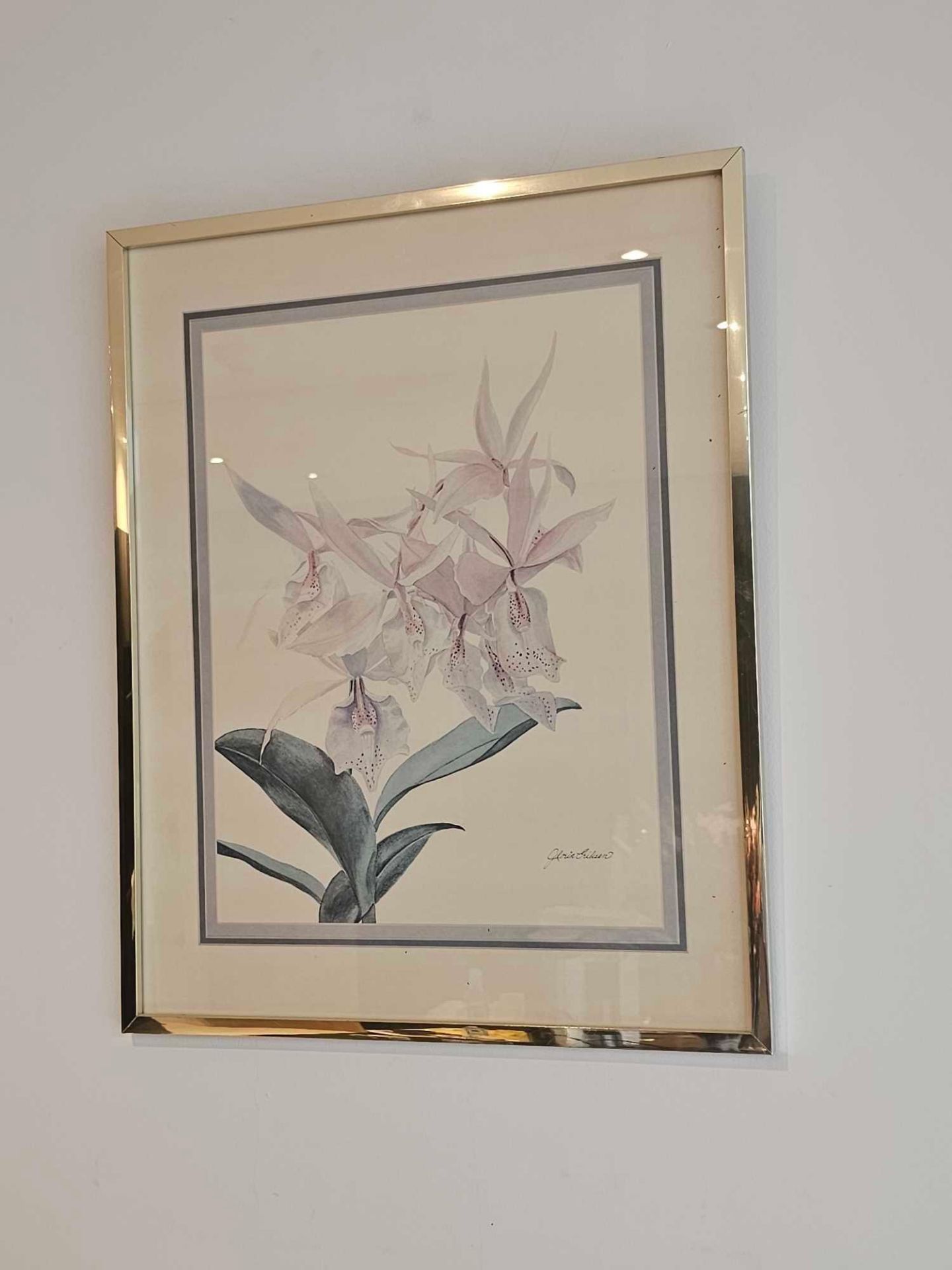 A Gloria Eriksen Botanical Print Framed 40 X 50cm