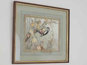 Winifred Austen RE, RI (British, 1876-1964) Great Spotted Woodpecker Watercolour Signed With