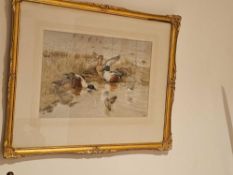 Winifred Austen RE, RI (British, 1876-1964) Ducks Watercolour Signed With Monogram 56 X 46cm