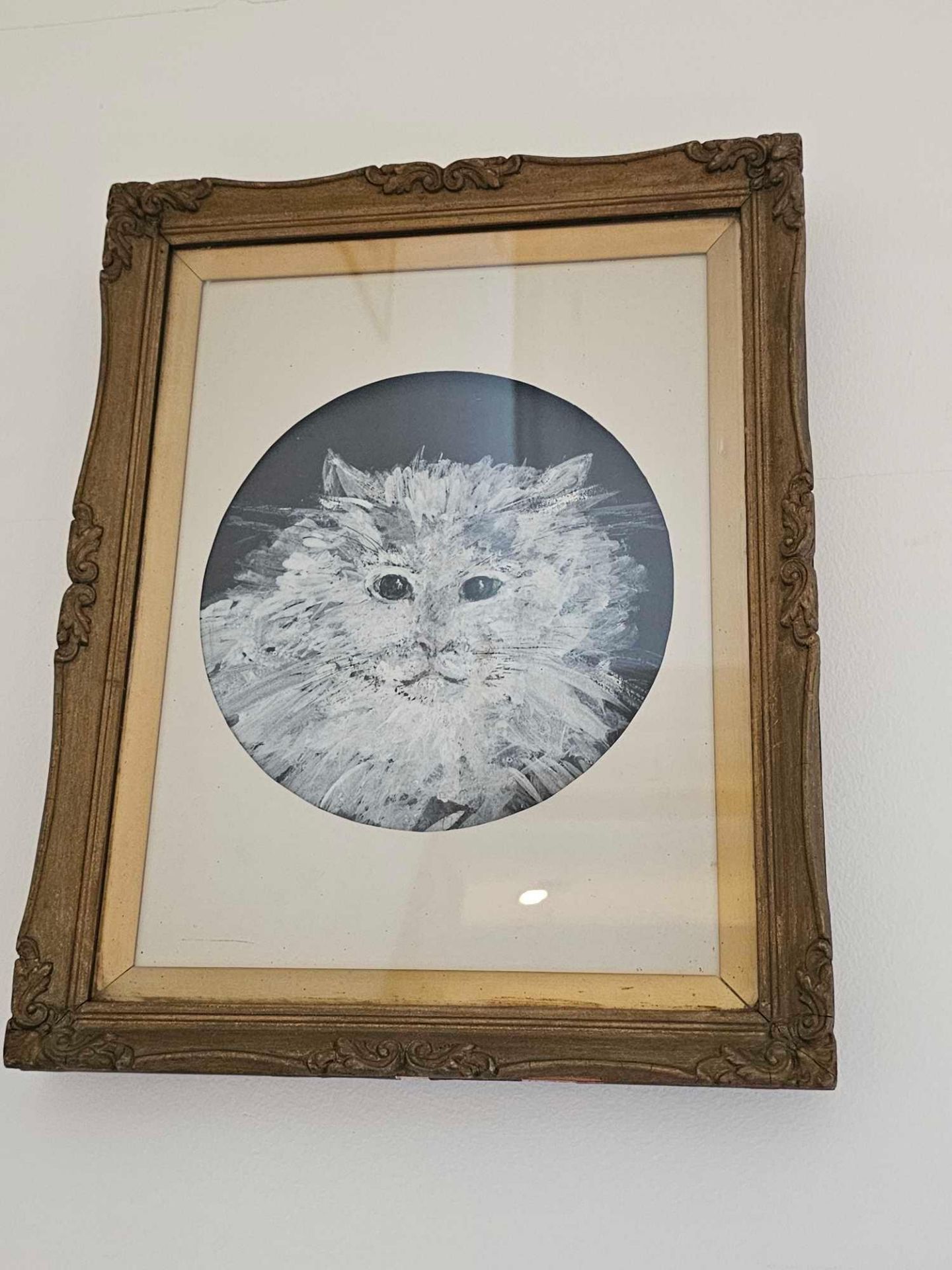 Framed Study Of A Cats Face Signed Artwork Joy Exley 1975 30 X 39cm