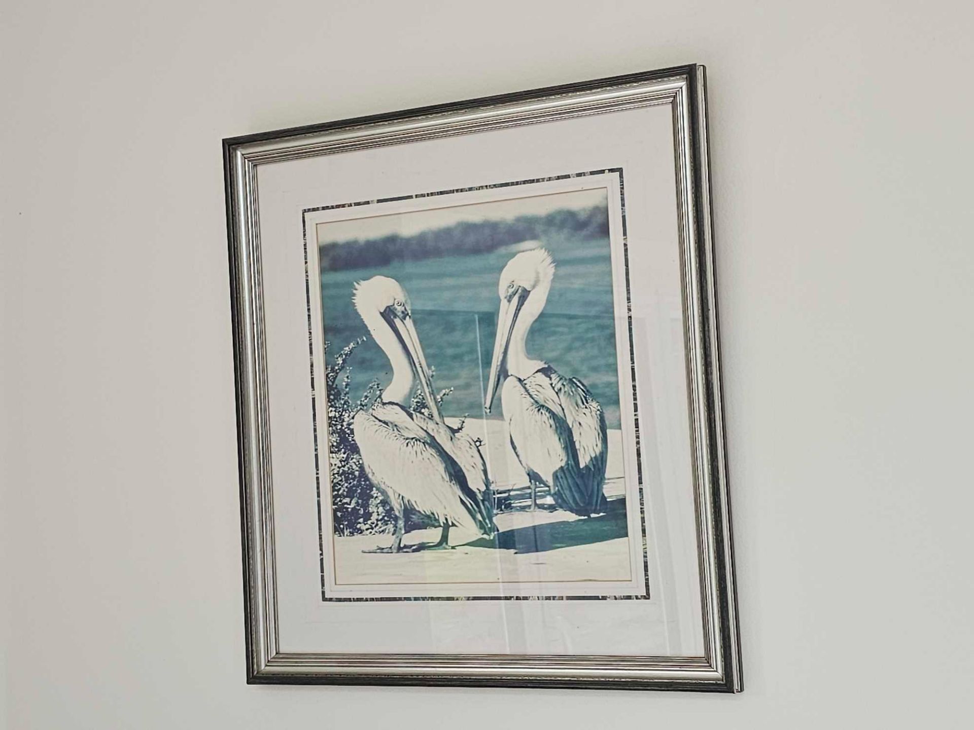 A Framed Photoprint Pelicans 43 X 48cm - Image 2 of 2