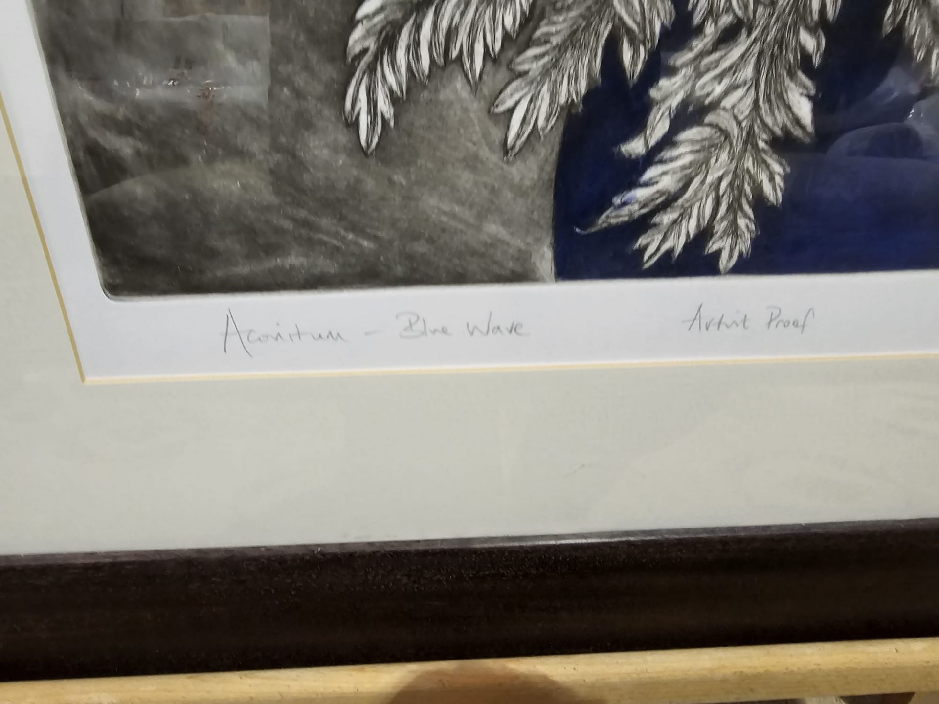 Audrey Scovell (British) Framed Art Work Titled Aconitum Blue Wave Artist Proof In Walnut Coloured - Bild 2 aus 2