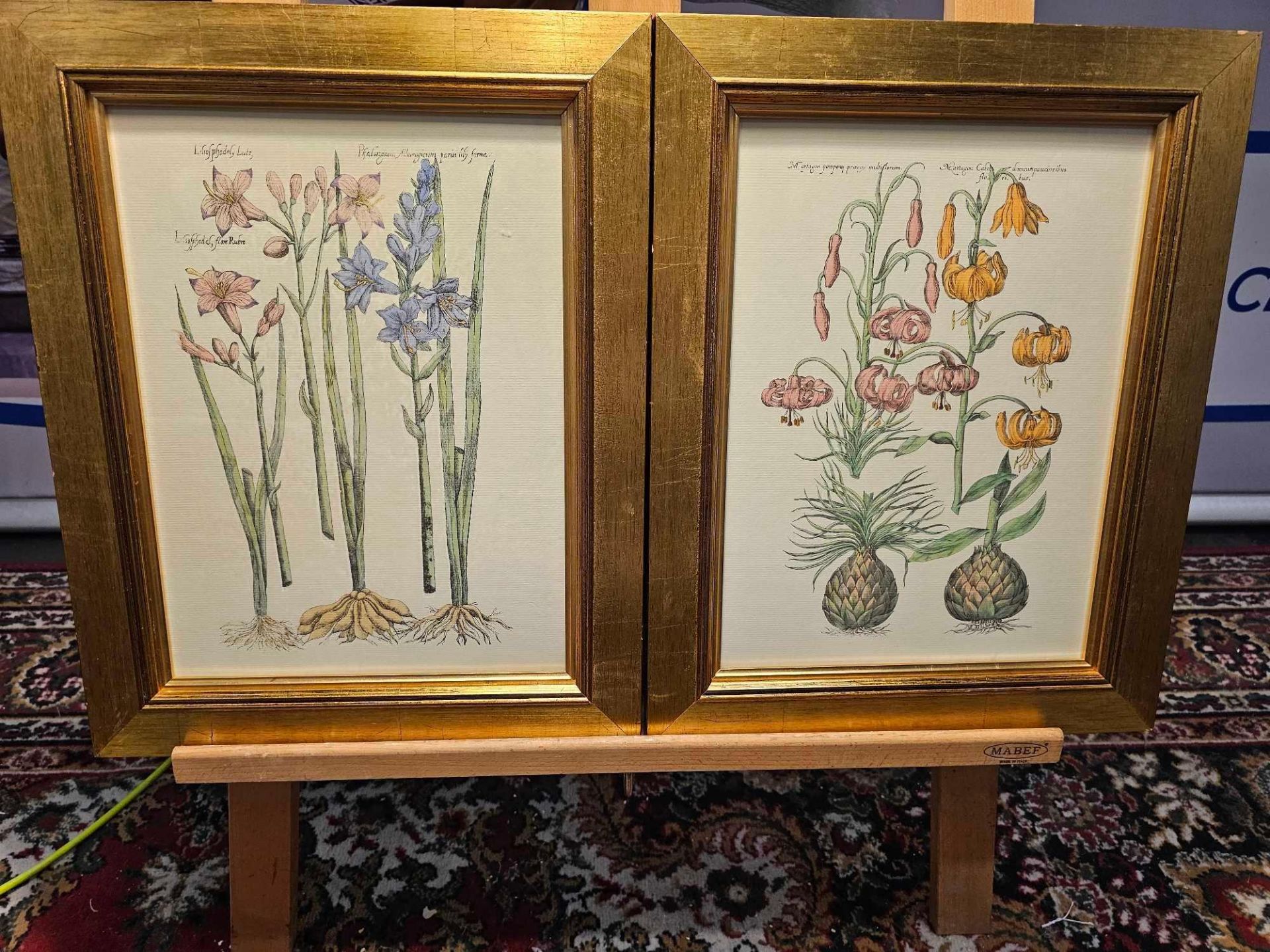 2 x Framed Botanical Prints (1) 230-236 Botanical By Emanuel Sweet C.1612 (2) Liliosphodel,