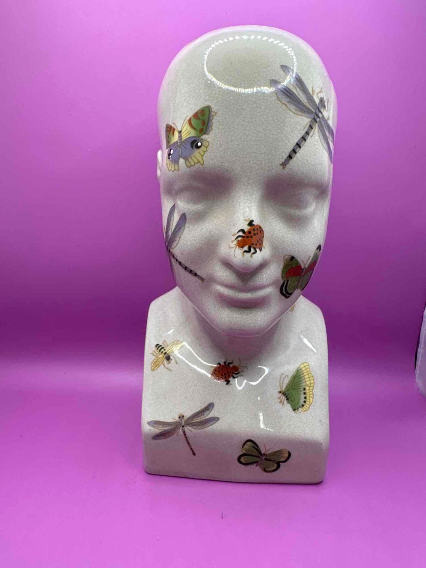 Ceramic Phrenology Head Adorned With A Colourful Colony Of Winged Insects: Bees, Butterflies,