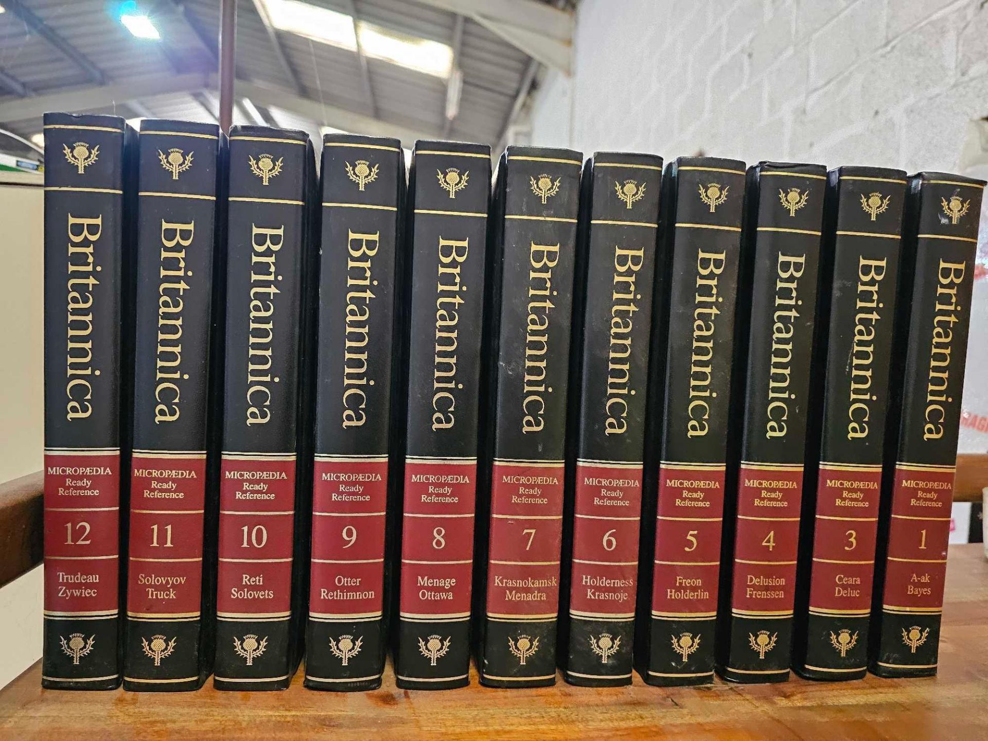 Encyclopaedia Britannica Volume 1-12 (Number 2 Missing) Few Marks And Scuffs Throughout 28cm Tall