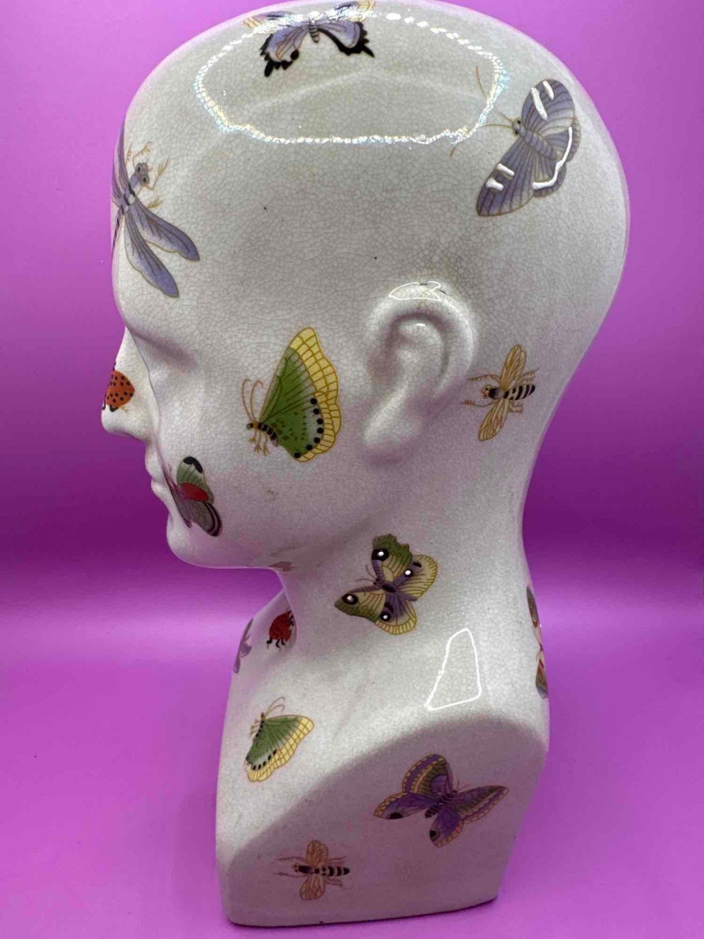 Ceramic Phrenology Head Adorned With A Colourful Colony Of Winged Insects: Bees, Butterflies, - Image 4 of 4