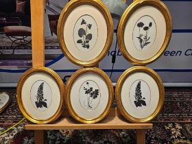 5 x Framed Oval Black And White Botanical Silhouettes 29 x 24cm (Hotel 52)