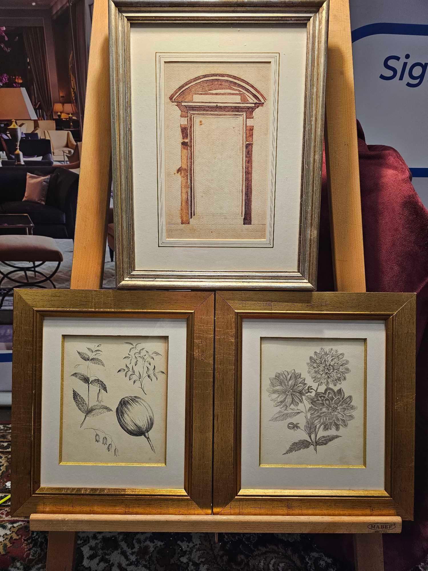 A Set of 3 x Framed Prints 2 Botanical Studies 34 x 39cm And Print After Michelangelo Buonarroti Pen