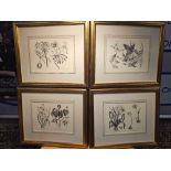 4 x Framed Prints Botanical Studies 48 x 41cm (Hotel 58)
