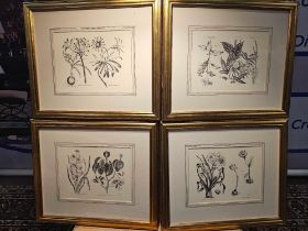 4 x Framed Prints Botanical Studies 48 x 41cm (Hotel 58)