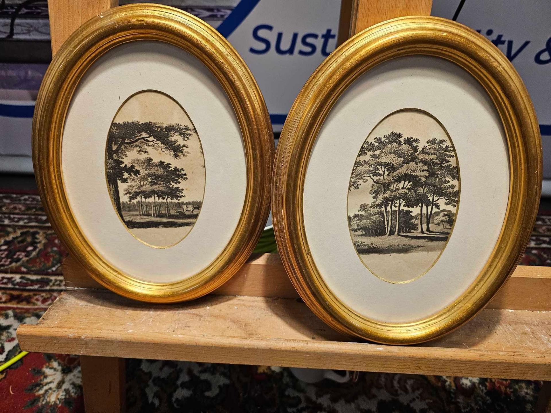 2 x Frame Landscape Oval Silhouettes 28 x 22cm (Hotel 55)