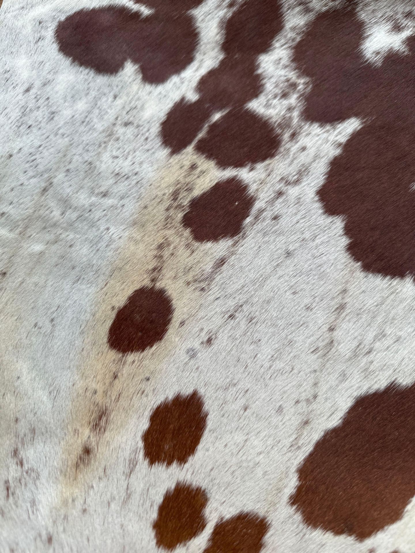 Cowhide Leather Cushion Cover 100% NaturalÂ Cowhide Leather Cushion Is Single-Sided And Rich In - Image 2 of 4