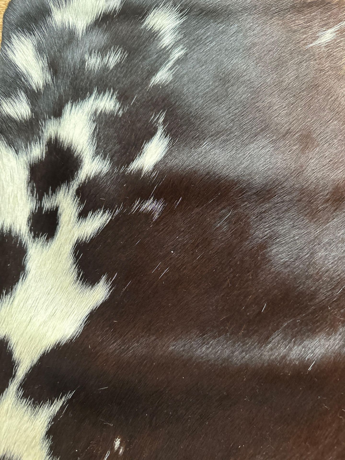 Cowhide Leather Cushion Cover 100% NaturalÂ Cowhide Leather Cushion Is Single-Sided And Rich In - Image 2 of 3