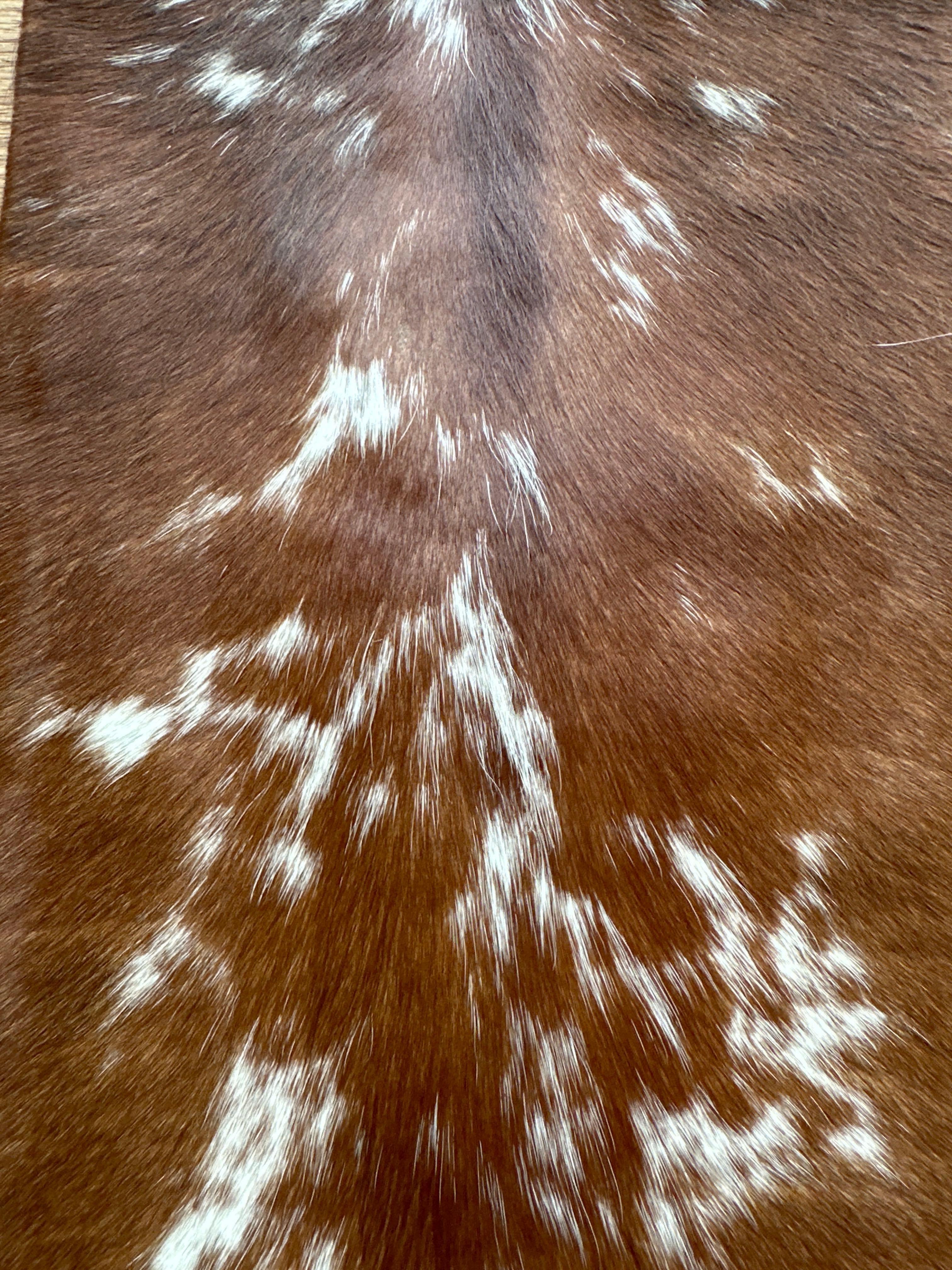 Cowhide Leather Cushion Cover 100% NaturalÂ Cowhide Leather Cushion Is Single-Sided And Rich In - Image 2 of 4