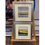 A Set Of 2 x Glazed And Framed Abstract Prints Mounted In A Cushioned Silver Frame 45 x 46cm (Ref