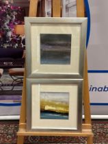 A Set Of 2 x Glazed And Framed Abstract Prints Mounted In A Cushioned Silver Frame 45 x 46cm (Ref