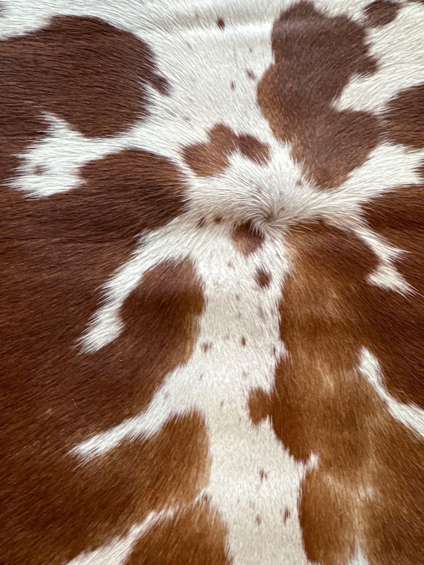 Cowhide Leather Cushion Cover 100% NaturalÂ Cowhide Leather Cushion Is Single-Sided And Rich In - Image 2 of 4