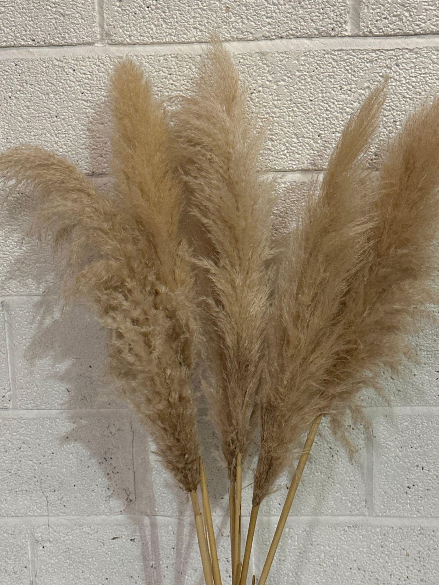 Faux Pampas Grass On Pink Vase 120cm - Image 3 of 3