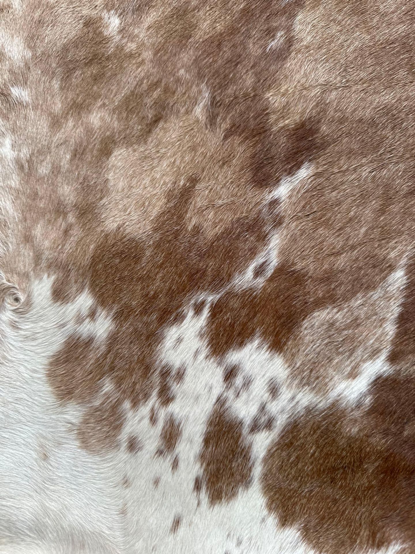 Cowhide Leather Cushion Cover 100% NaturalÂ Cowhide Leather Cushion Is Single-Sided And Rich In - Image 2 of 3