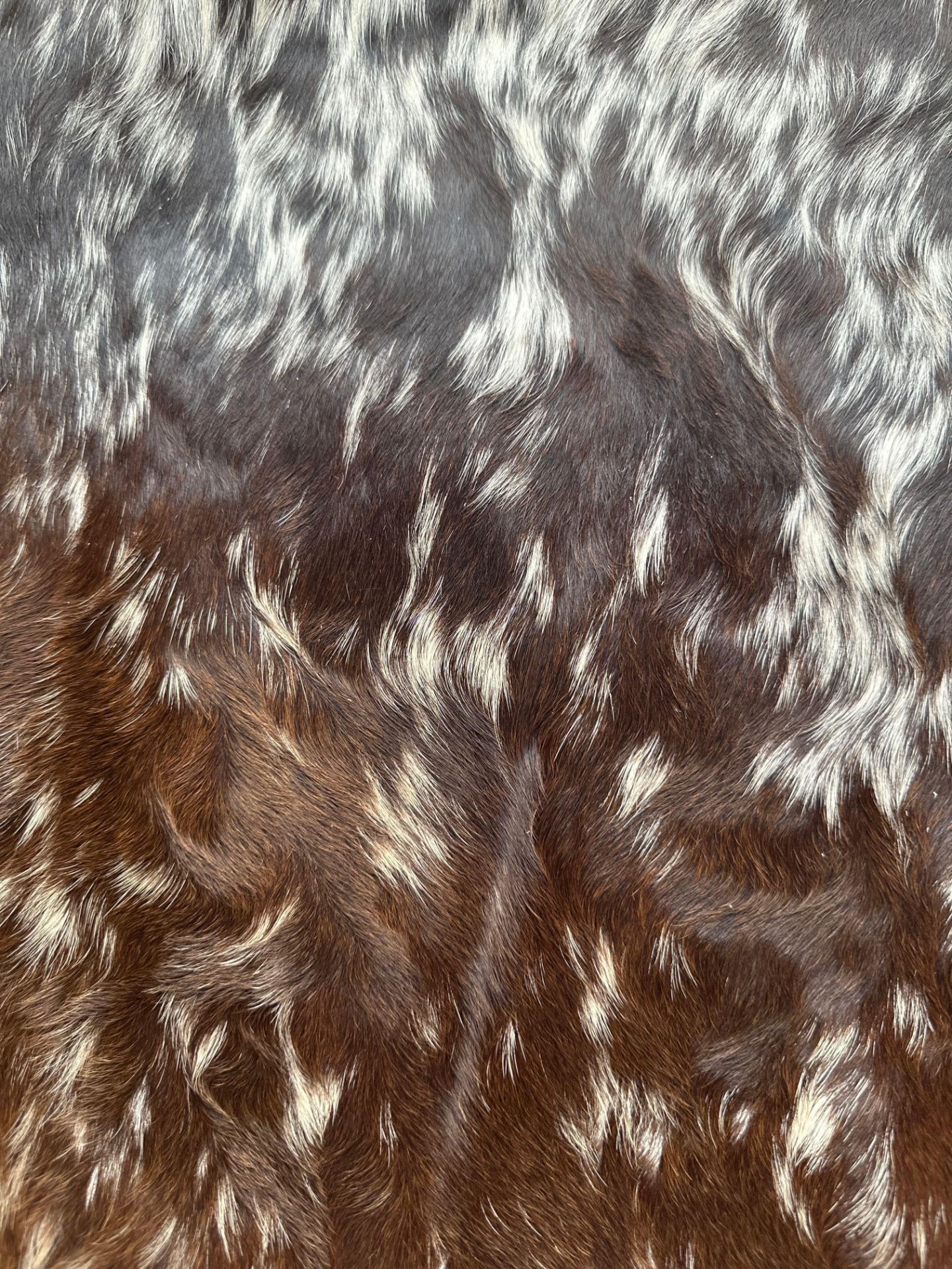 Cowhide Leather Cushion Cover 100% NaturalÂ Cowhide Leather Cushion Is Single-Sided And Rich In - Image 2 of 4