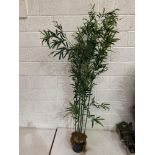 Faux Bloomin Artificial Plant 200cm