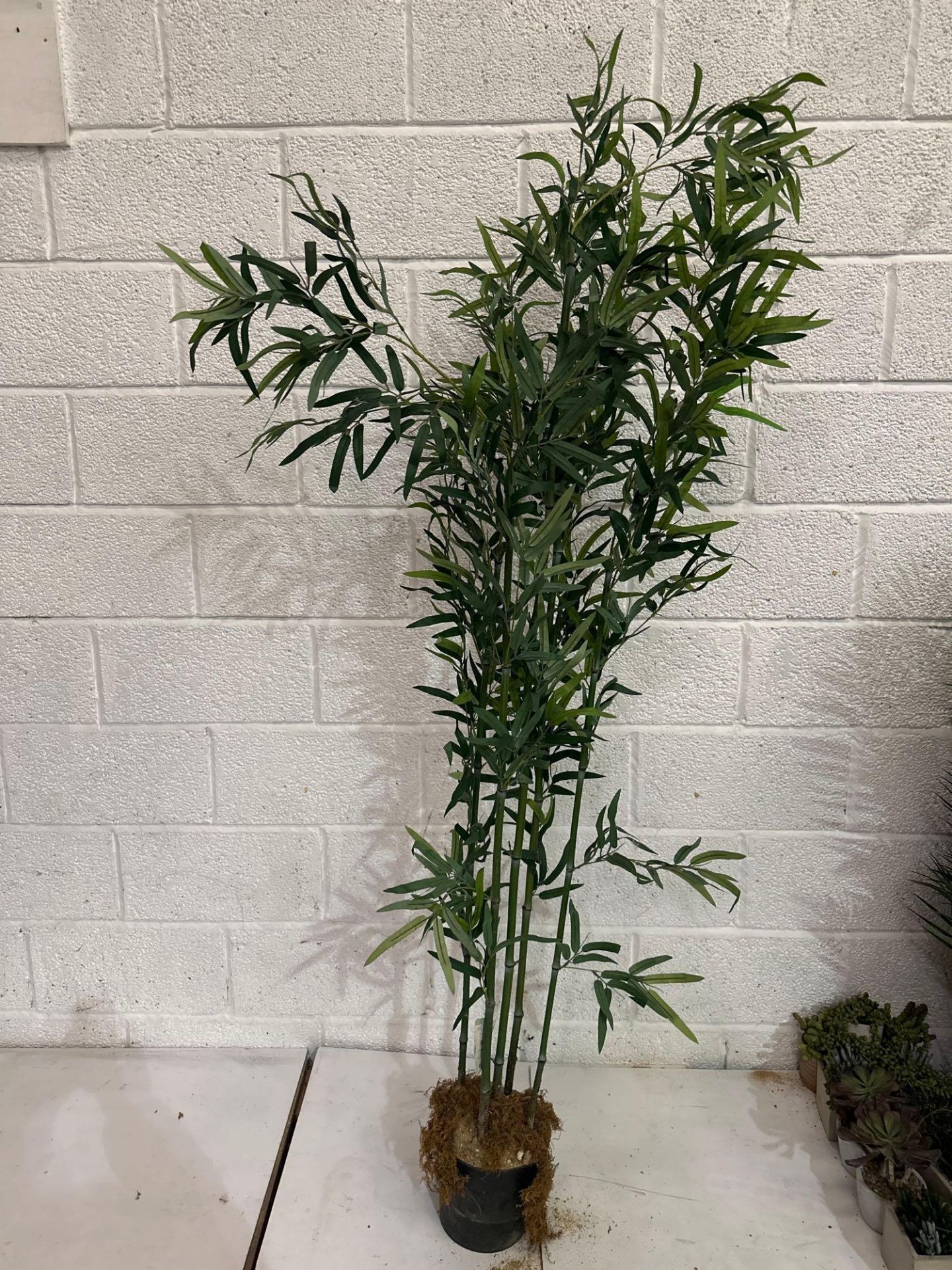 Faux Bloomin Artificial Plant 200cm