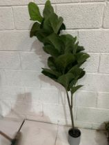 Faux Rubber Plant 150cm