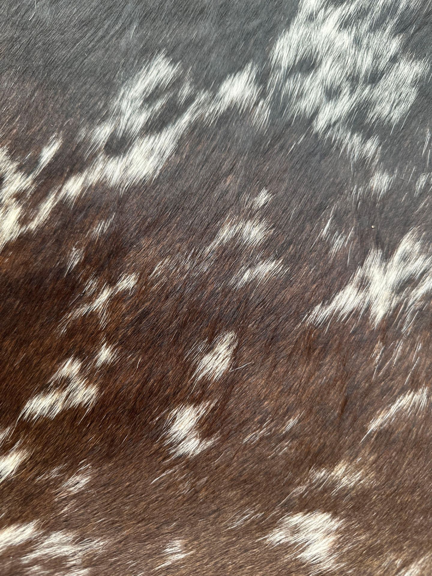 Cowhide Leather Cushion Cover 100% NaturalÂ Cowhide Leather Cushion Is Single-Sided And Rich In - Image 2 of 4