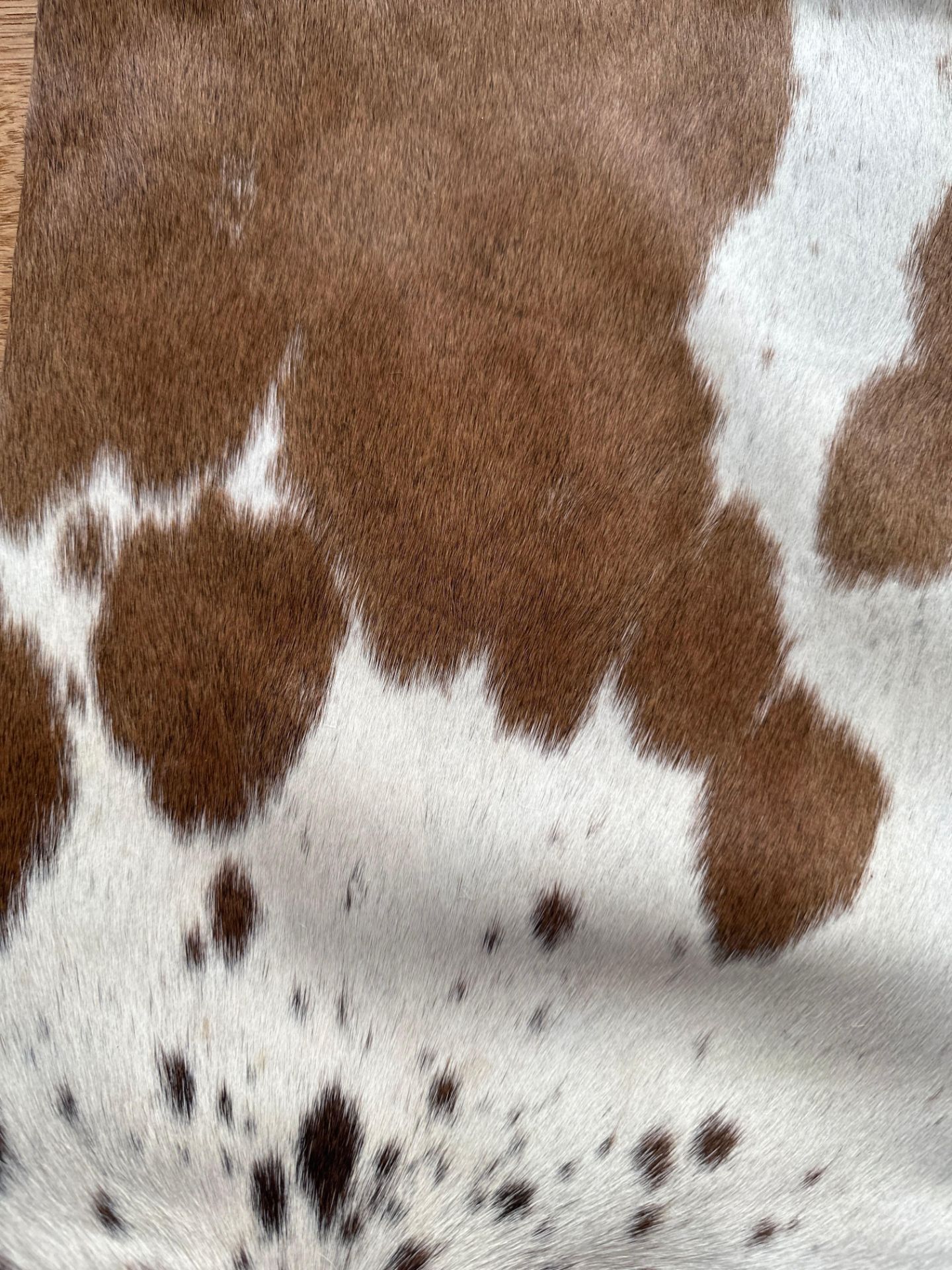 Cowhide Leather Cushion Cover 100% NaturalÂ Cowhide Leather Cushion Is Single-Sided And Rich In - Image 2 of 4