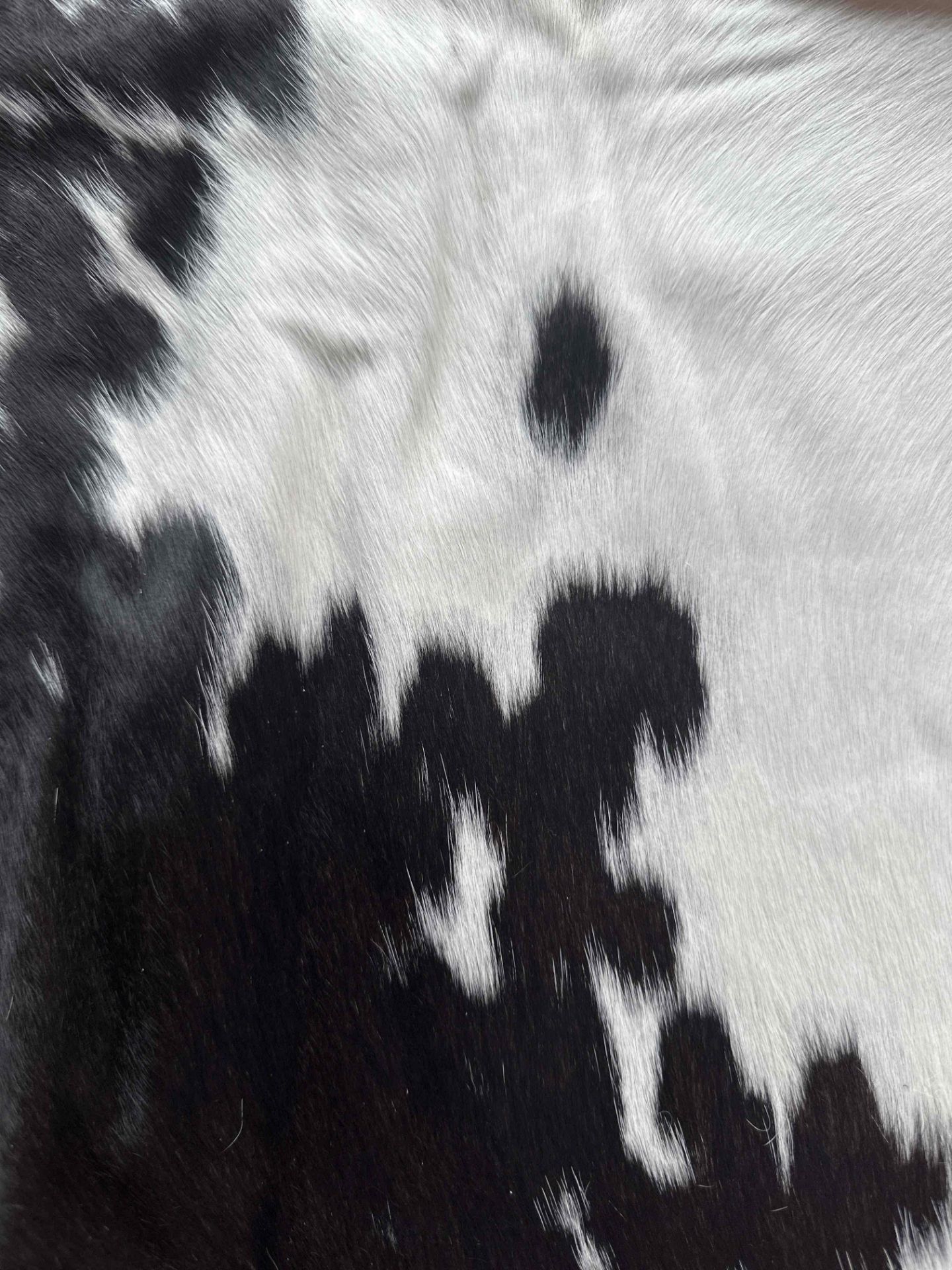 Cowhide Leather Cushion Cover 100% NaturalÂ Cowhide Leather Cushion Is Single-Sided And Rich In - Image 2 of 3