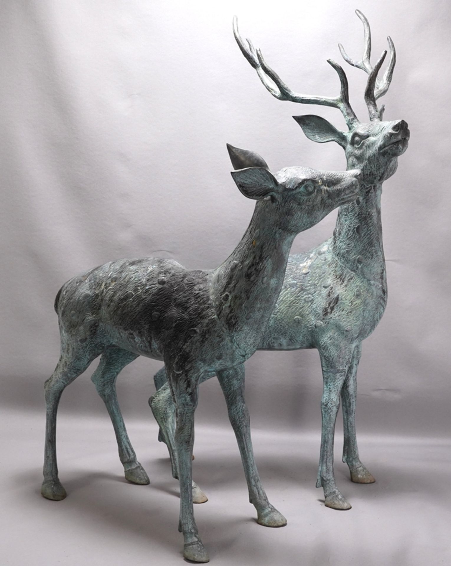 Large pair of stags - Image 2 of 6