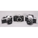 Three Nikon cameras