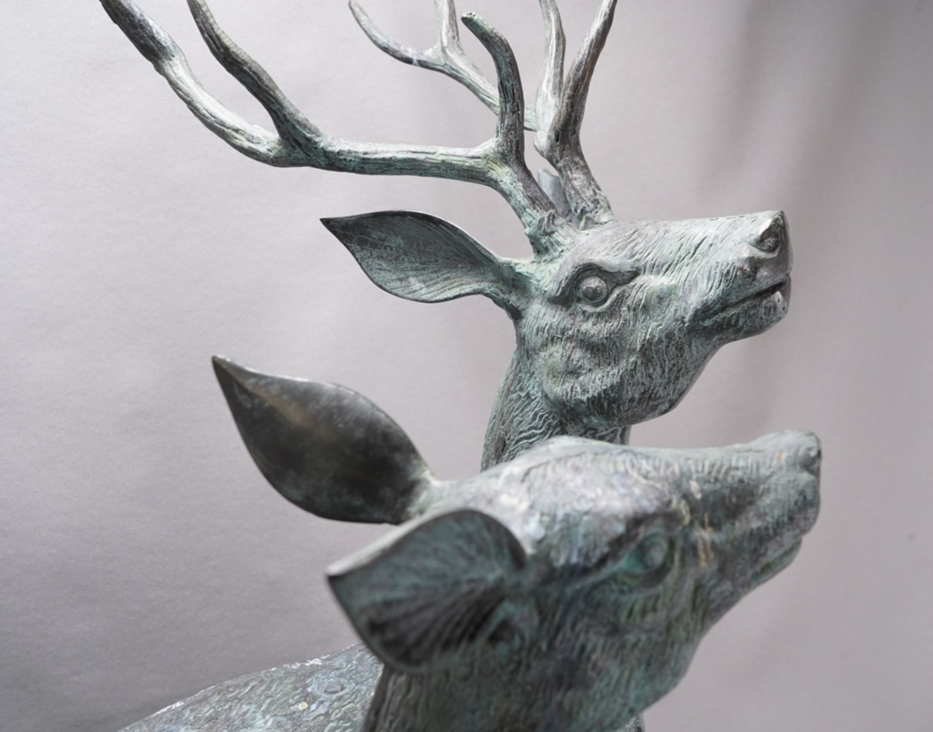 Large pair of stags - Image 3 of 6