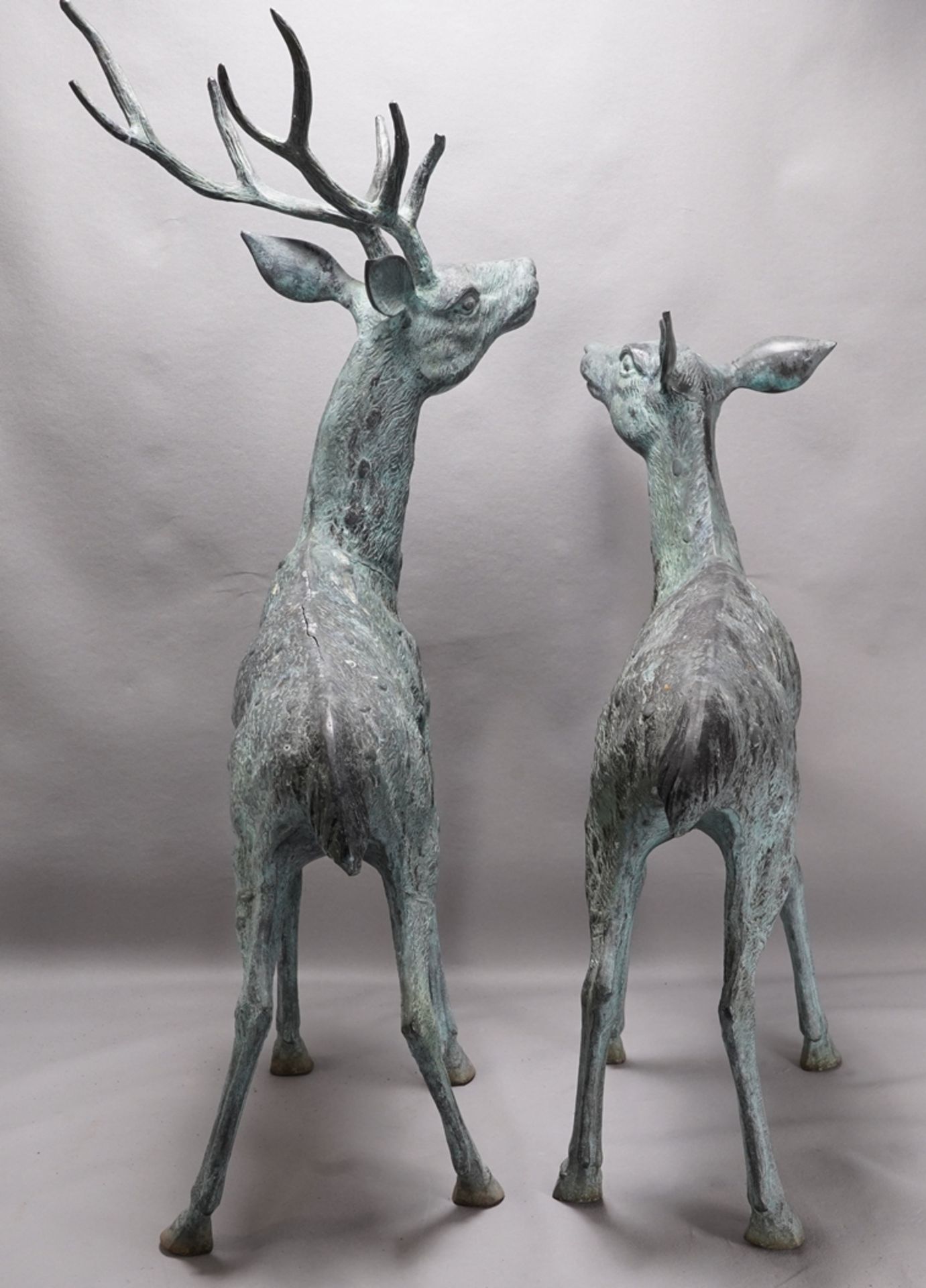 Large pair of stags - Image 4 of 6