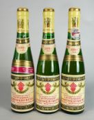 Wittlicher Portnersberg 1976