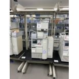 HPLC Lab Bench