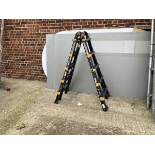 Little Giant step ladder