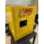 Uline Flammable Liquid Storage Cabinet