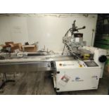 PFM Horizontal Flow Wrapper