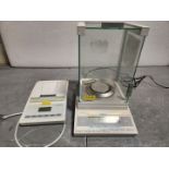 Sartorius Analytical Laboratory Balance, Model BP221S