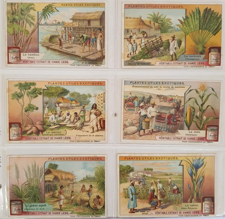 An Album of Liebig Trade Cards, comprising 30 Sets of 6, 1909 to 1911. Condition generally very good - Image 4 of 8