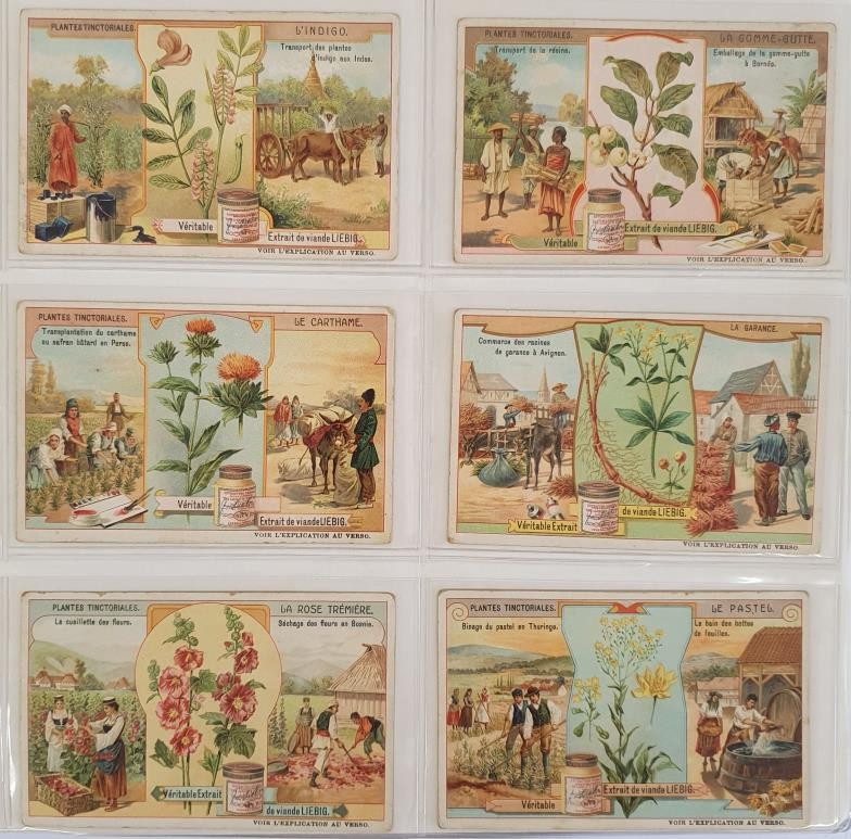 An Album of Liebig Trade Cards, comprising 30 Sets of 6, 1909 to 1911. Condition generally very good - Image 3 of 8