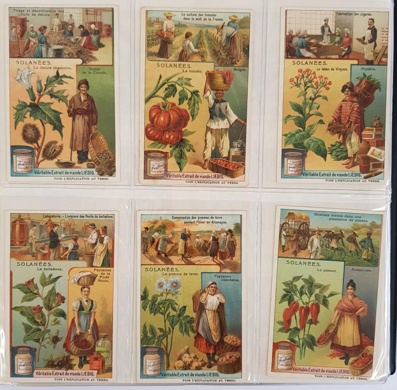 An Album of Liebig Trade Cards, comprising 30 Sets of 6, 1909 to 1911. Condition generally very good - Image 6 of 8