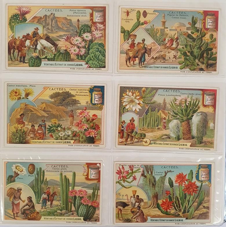 An Album of Liebig Trade Cards, comprising 28 Sets of 6, 1906 to 1909. Condition generally very good - Image 3 of 8