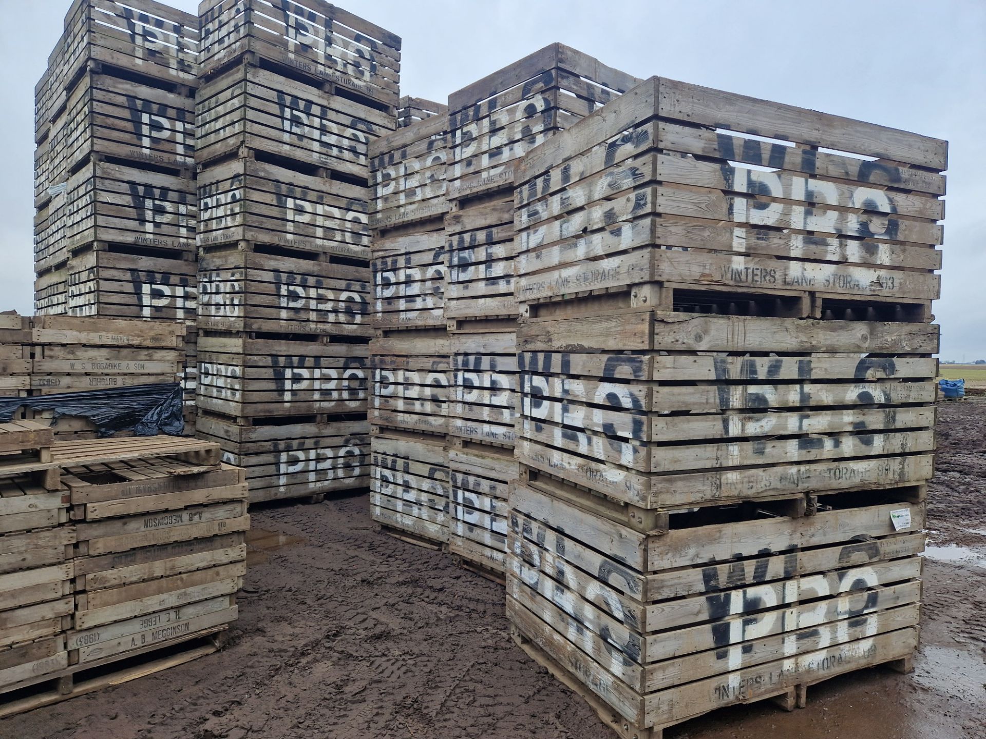 84 x 1 ton potato boxes