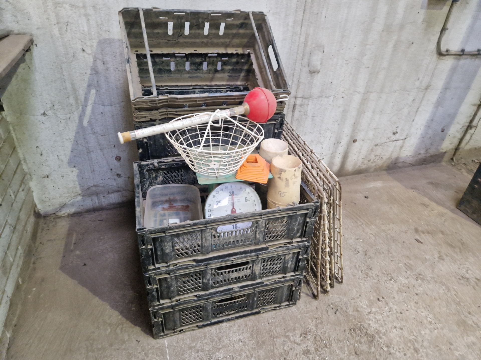 Potato sizing crates, dry matter tester and scales - Image 2 of 2