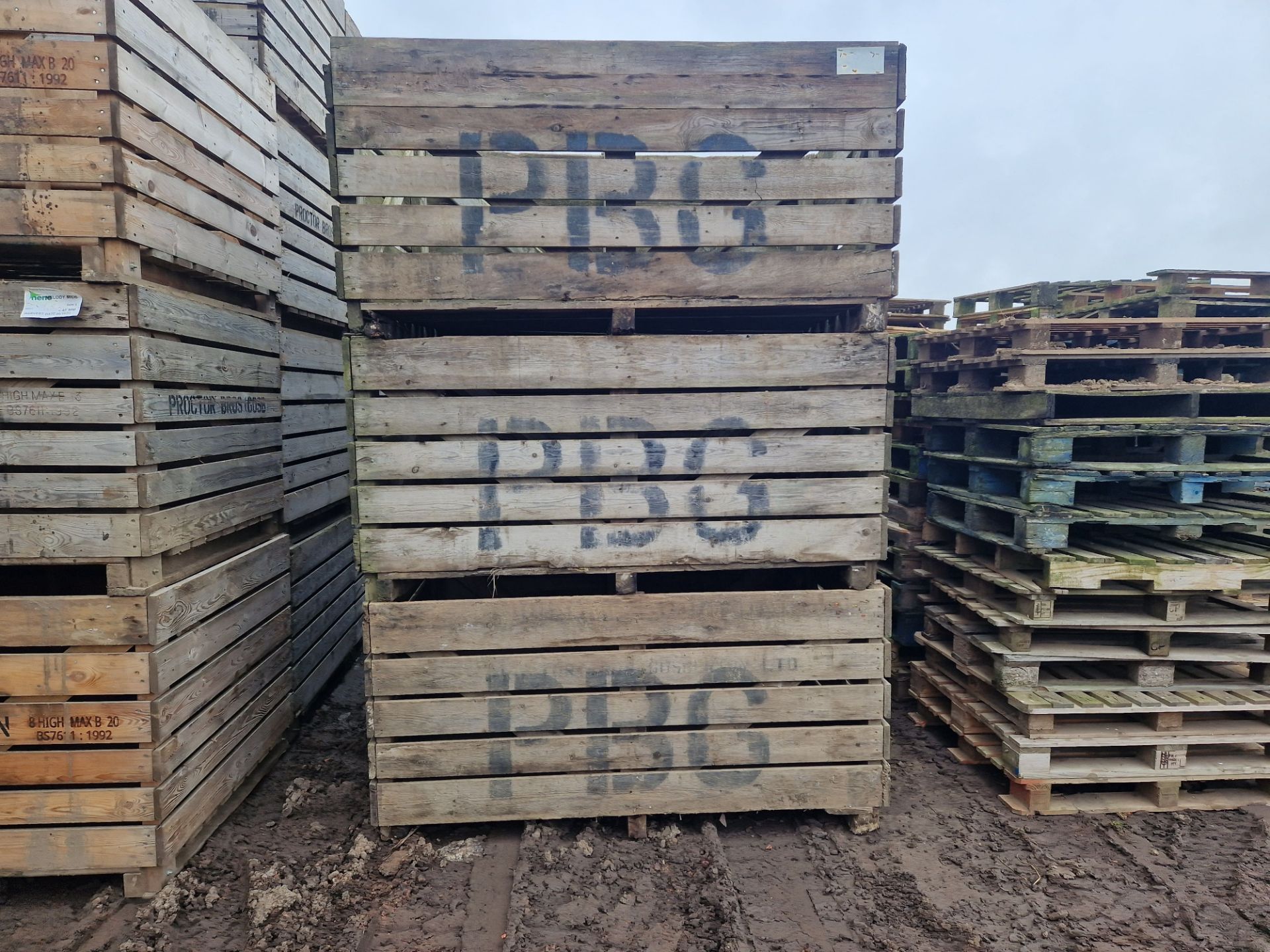 42 x 1 ton potato boxes
